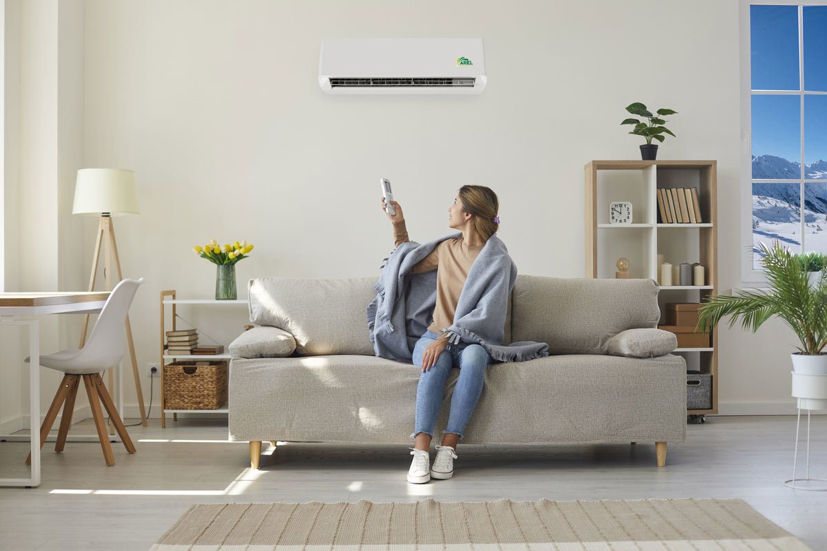 Condizionatori inverter ariel energia